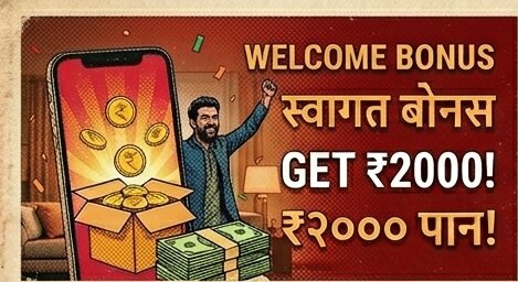 IPL cricket betting at 341matka App